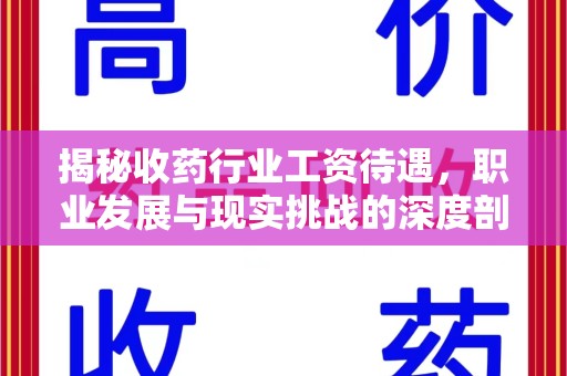 清远揭秘收药行业工资待遇，职业发展与现实挑战的深度剖析