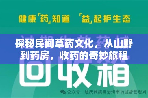 清远探秘民间草药文化，从山野到药房，收药的奇妙旅程